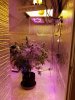 MyGrowRoom.jpg