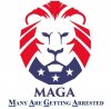 MAGA_definition.jpeg