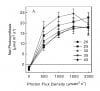 Photosyntesis under different temps and intensities.jpg