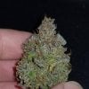 275561_hawkbo-cookies-x2fastbudscc_xl.jpg