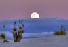 White-Sands-National-Monument_Night-view_10788.jpg