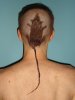 rat tail.jpg