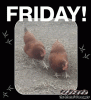 friday.gif