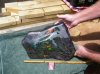 biggest australian opal.jpg