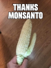 ThanksMonsanto.png