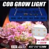 cob_led_ebay.jpg