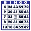 0008916-low-vision-bingo-cards-10-cards.jpg