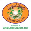 GLG-Stickers useful seeds.jpg