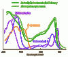 Actionspectrum.gif