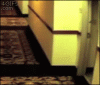 image-drole-fail-chambre-hotel.gif