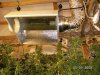 Grow Closet 113.jpg