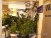 Grow Closet 125.jpg