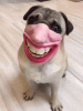 creepy-human-face-masks-dog-muzzles-amazon-1-5d0384253e50a__700.gif