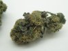 green cracksfv og kush 001.jpg