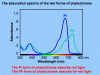 pchromespecs.gif