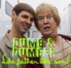 dumb and dumber.jpg