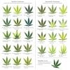 best_cannabis_deficiency_visual_chart.jpg