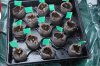 dopewear-albums-ghetto-veg-box-first-outdoor-grow-picture58265-dsc-2841.jpg