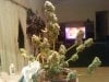 more bud pics 029.jpg