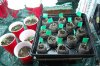 dopewear-albums-ghetto-veg-box-first-outdoor-grow-picture58514-dsc-2851.jpg