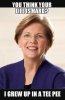 147cc85ad9975cc1e9f6451fa4f389c9--elizabeth-warren-politics.jpg