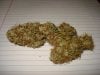 THC Bomb #1 - 1.jpg