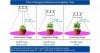 LED Light distances.JPG