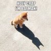 9363202ba742b1b856359d530cb1fe18--im-batman-cute-batman.jpg