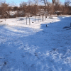 dog_and_sled_cd40ab0a98e041fa6d20bce0e8be815d9a2ad9da.gif