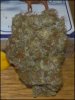 phreakygoat-albums-medical-grow-picture59765-nuggage.jpeg