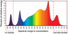 Skeleton-spectrum-flower-111219_350-800-for-web.png