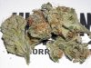 sour_d__trainwreck_131.jpg