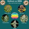 MMS Restock and Freebie 5-27-20.jpg