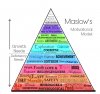 maslow-8.2.jpg