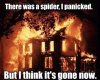 spider_mite_fire.jpeg.jpeg