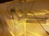 20200713_220923.jpg