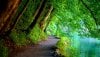 Beautiful-nature-wallpaper-love-wallpapers09.jpg