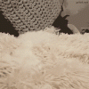 funny-gif-dog-rug.gif