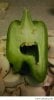 So-I-was-cutting-a-pepper.jpg