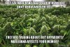 they-say-marijuana-5bd176.jpg