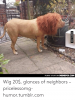 funny-stuff-on-memepix-com-мемерiх-сом-wig-20-glances-of-neighbors-64725106.png