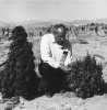 Figure-2-Richard-Evans-Schultes-with-C.-indica-ssp.-afghanica-broad-leaf-drug-or-BLD-plants-in...jpg