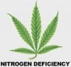 nitrogen deficiency.jpg