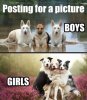 funnyanimalmemes-02.jpg