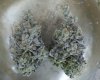 Wedding Cake f2 x Kush Mints 11 #9 - Copy.JPG