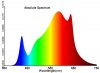 Bloom Spectrum.jpg