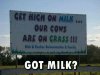 02f48244ba399982e7d4d51887518e6d--funny-ads-funny-signs.jpg