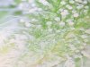 791D410D-7F1C-40DC-ACC3-87557093F6D2.jpeg