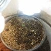 3229847_bag-seed-bag-seed-grow-journal-by-dankness420_m.jpg