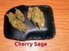 cherrysage.JPG